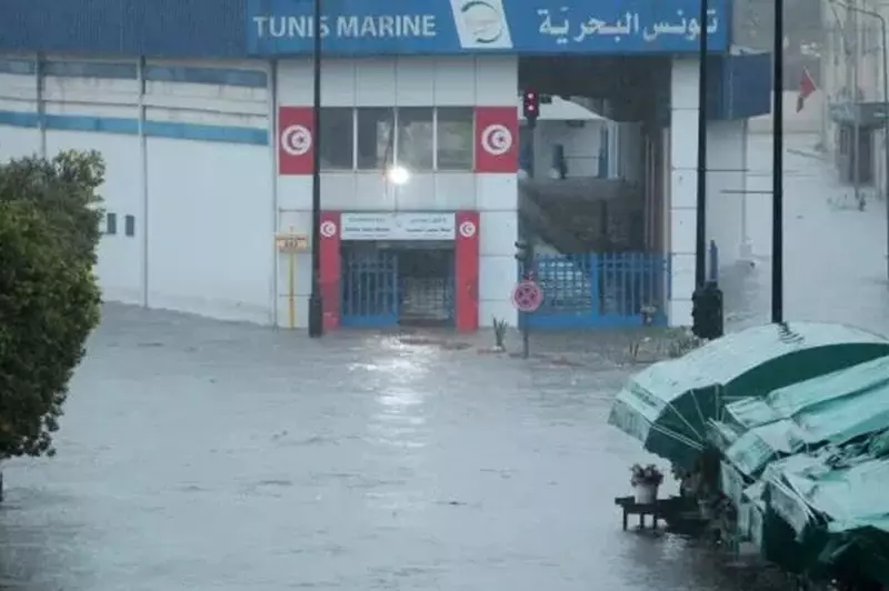 "قبل مواجهة الترجي والأهلي".. طقس سيىء وتساقط الثلوج وأمطار رعدية في تونس 